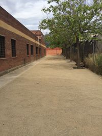 4 lateral edificio tierra despues