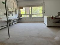 WhatsApp Image 2026-02-12 at 12.44.02